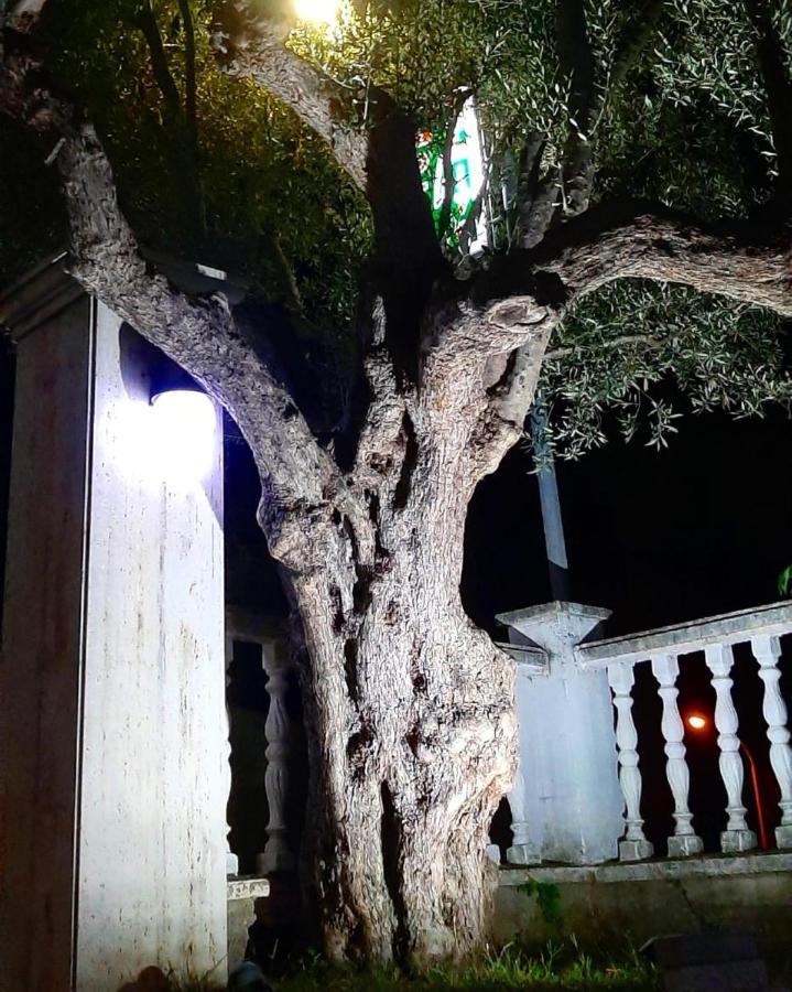 Hotel Le Olive Elbasan Zewnętrze zdjęcie